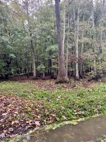 $24,000 | Cotton Street, Marks, MS 38646