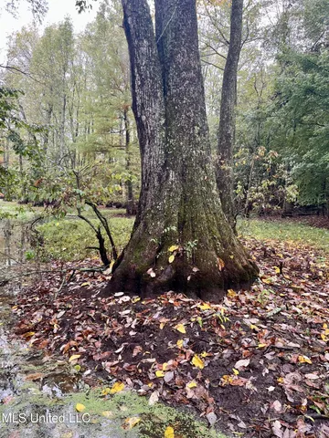 $24,000 | Cotton Street, Marks, MS 38646