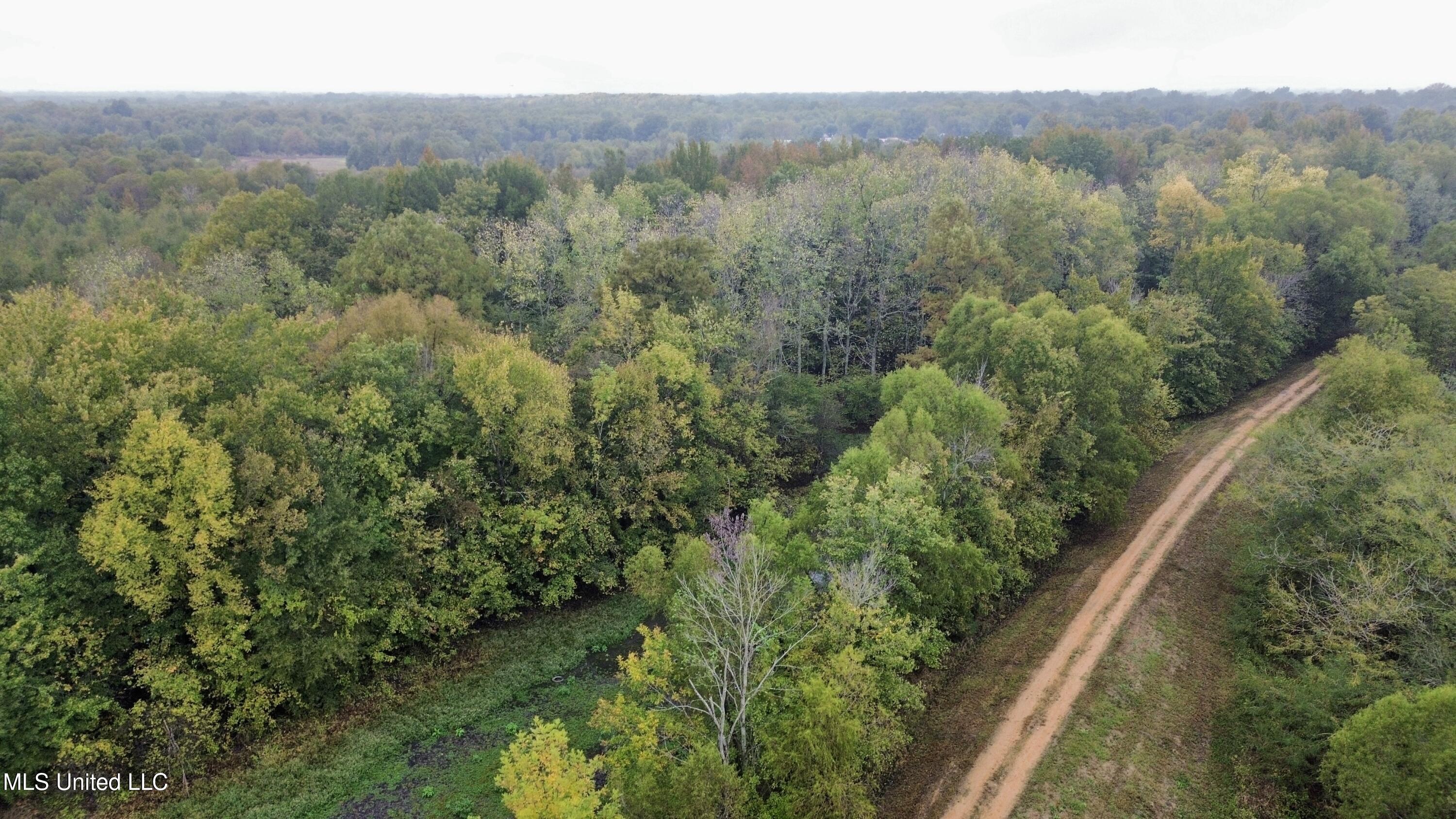 Cotton Street Marks, MS 38646 - Photo 7 of 14 dji_fly_20251025_175120_517_176161723578