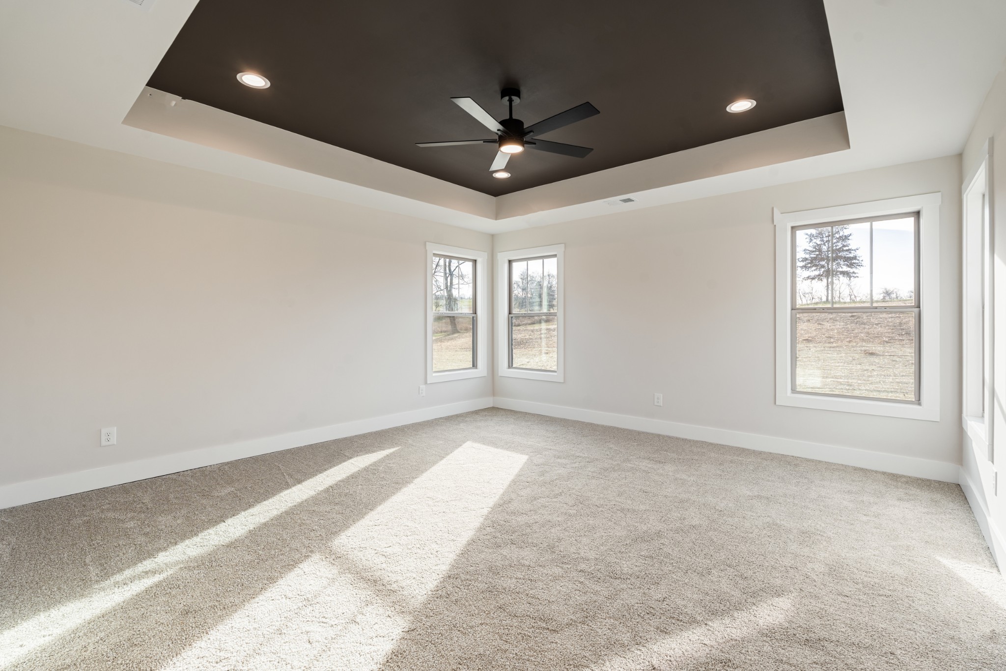 8078 Gideon Road Greenbrier, TN 37073 - Photo 17 of 26 an empty room with windows and ceiling fan