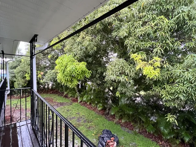a view of a balcony with a tree