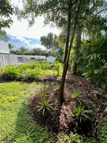 a view of a garden with plants and large trees