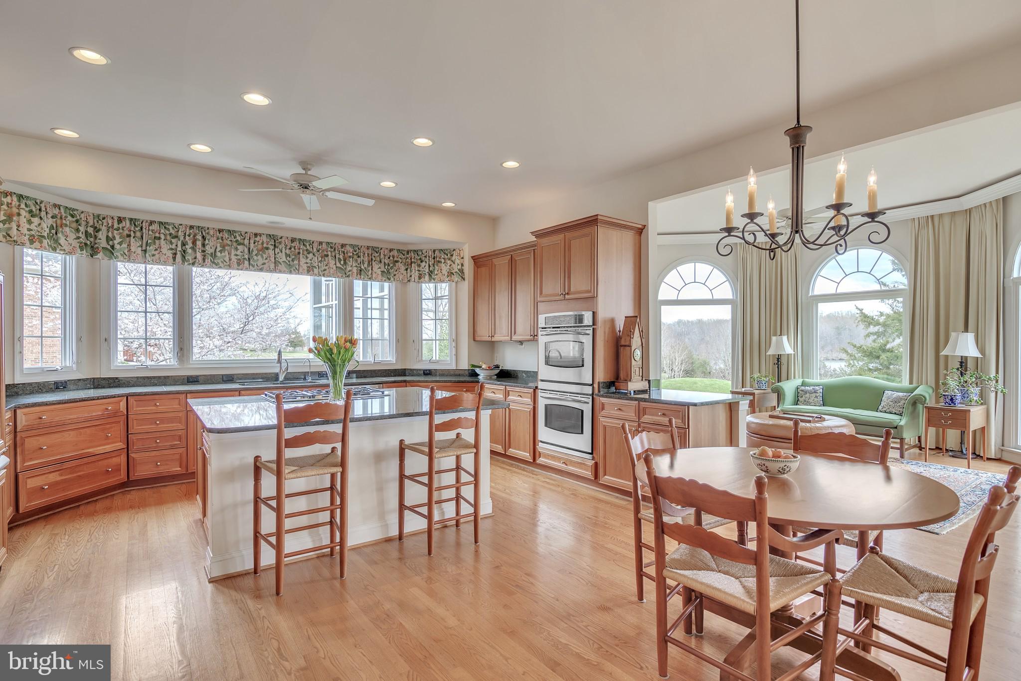 8514 Link Hills Loop Gainesville, VA 20155 - Photo 14 of 65 Top of the Line Kitchen
