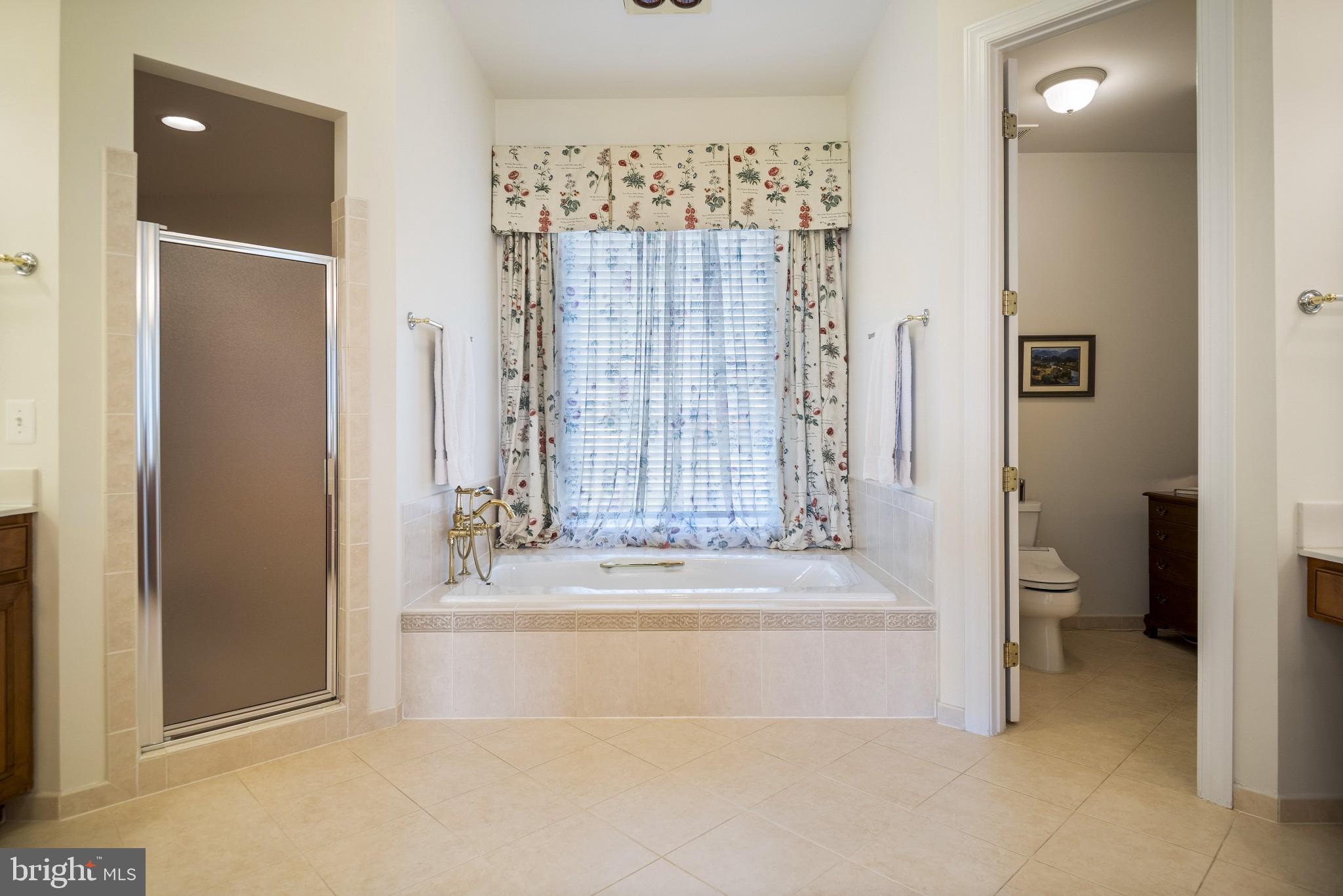 8514 Link Hills Loop Gainesville, VA 20155 - Photo 26 of 65 Owner's Bath w/ soaking cast iron tub
