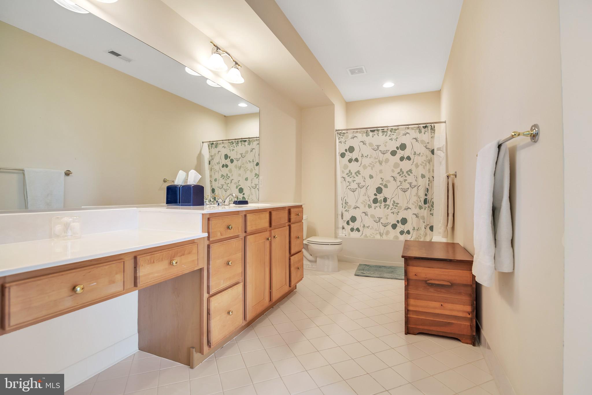 8514 Link Hills Loop Gainesville, VA 20155 - Photo 49 of 65 Lower Level Full Bath