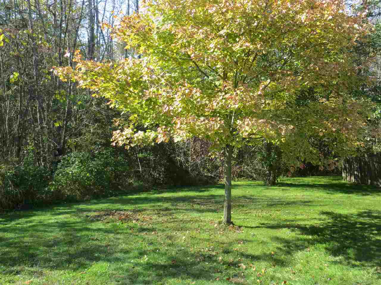 970 Brick Road West Branch, MI 48661 - Photo 31 of 37 1824393-30.JPG