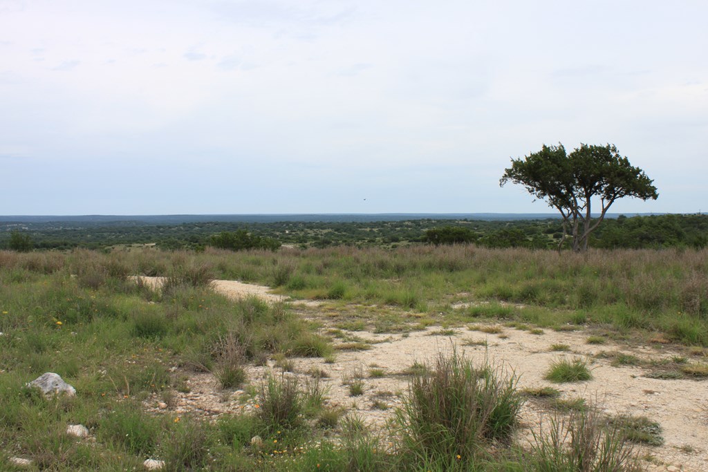 0 Oak Ridge Ranch Junction Junction, TX 76849 - Photo 9 of 19
