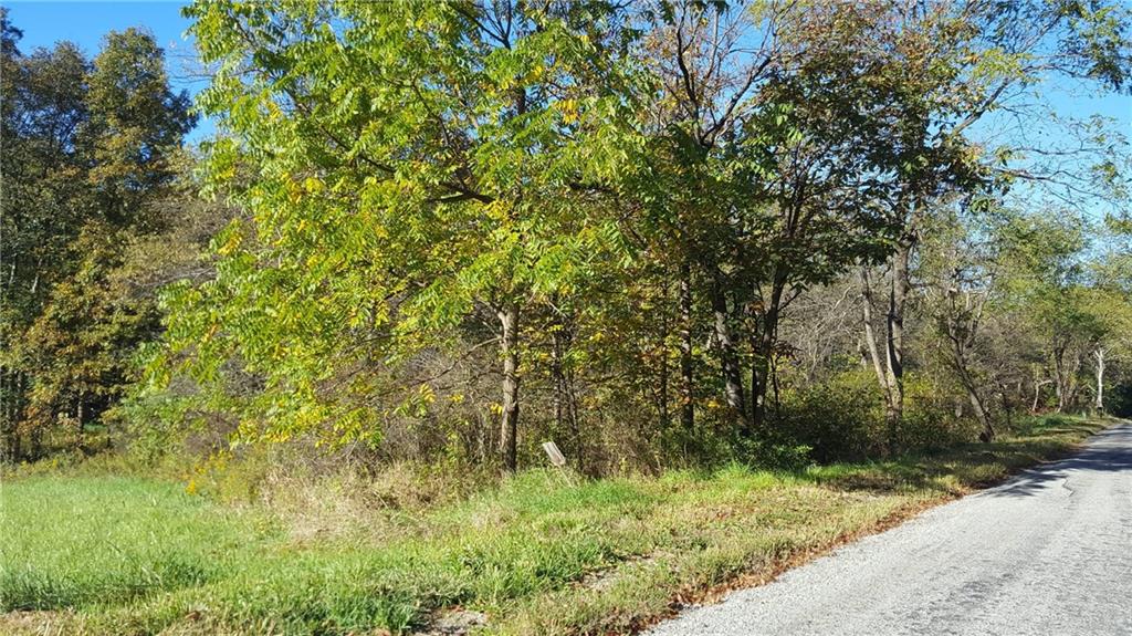 1156 Gobblers Run Road Shelocta, PA 15774 - Photo 1 of 7