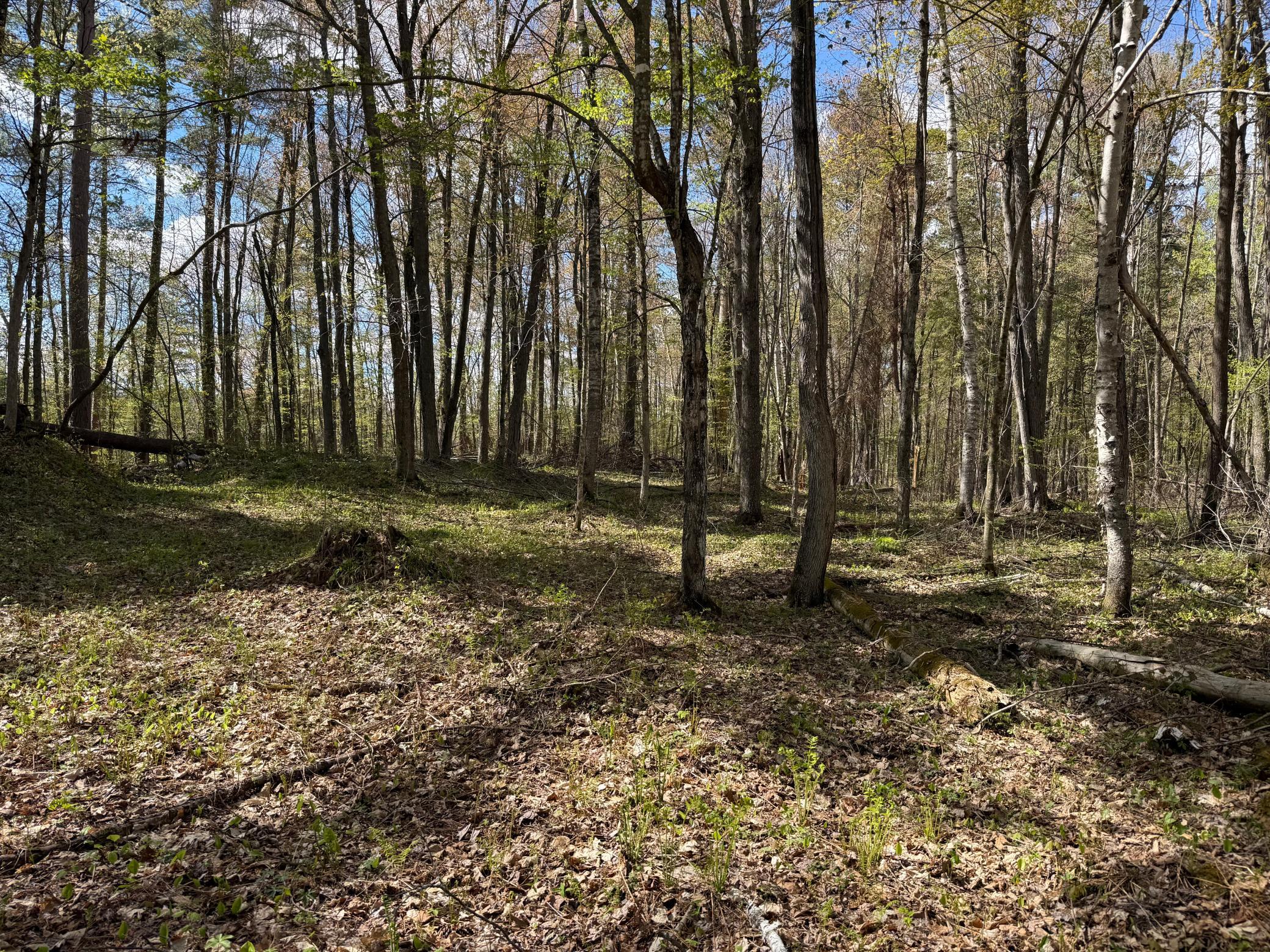 Tbd Leonard Road Stone Lake, WI 54876 - Photo 19 of 21