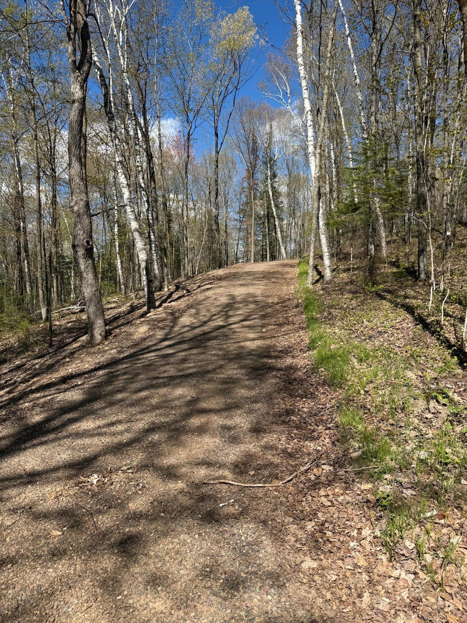 Tbd Leonard Road Stone Lake, WI 54876 - Photo 21 of 21
