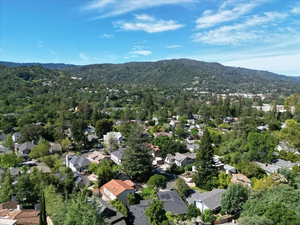 a view of a city with lush green forest