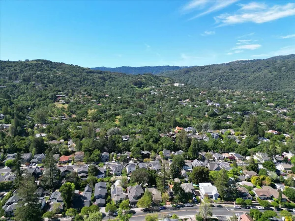 a view of a city with lush green forest