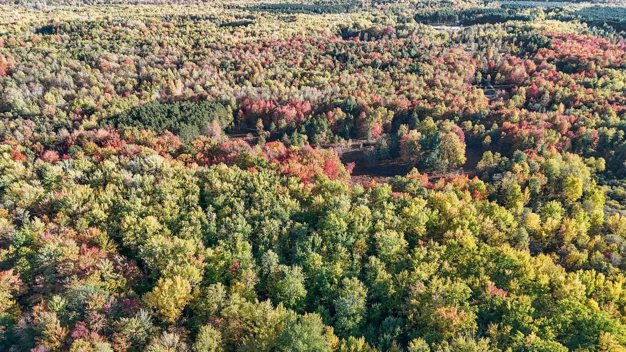 0 Thurman Road Thompsonville, MI 49683 - Photo 25 of 52
