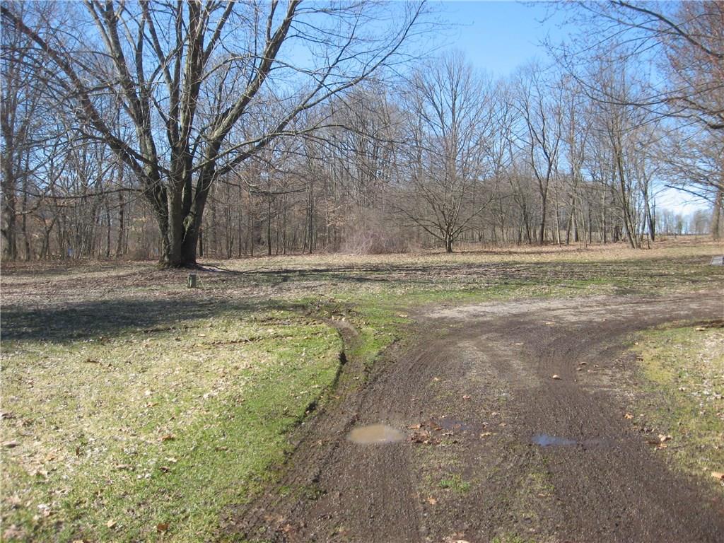 BACKYARD OFFERS PLENTY OF SPACE TO ADD A LARGE GARAGE, GARDEN OR JUST ROOM TO PLAY.