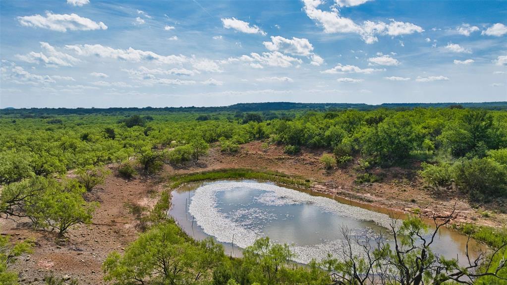 2969 County Lane Talpa, TX 76882 - Photo 5 of 40 Expansive land parcel featuring a natural pond surrounded by dense green foliage and mature trees