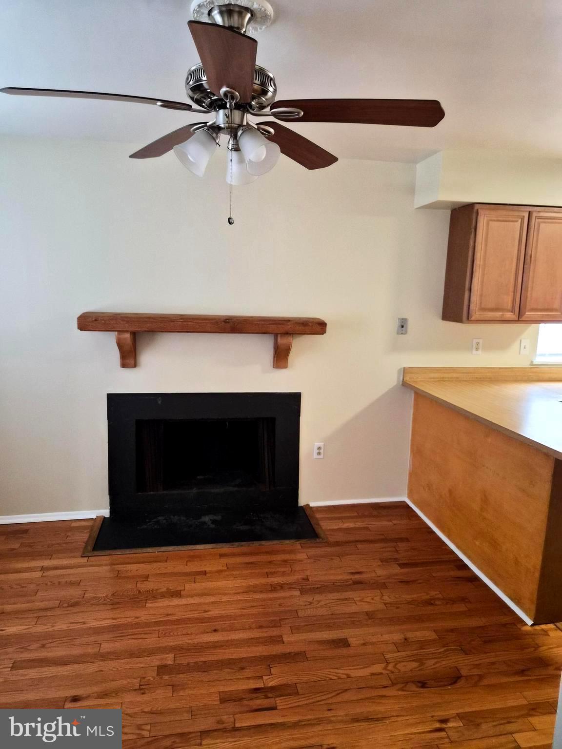 7120 Winter Rose Path Columbia, MD 21045 - Photo 7 of 28 a room with a fireplace and a ceiling fan