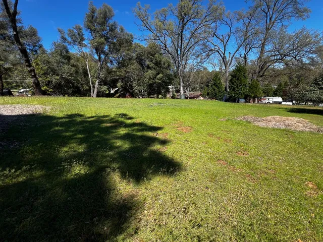 a view of yard with green space