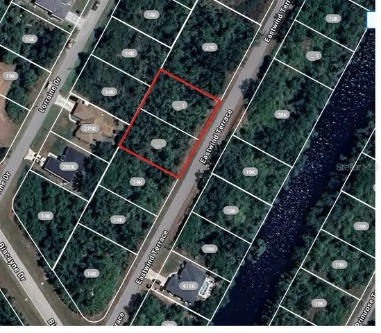 a view of a lush green forest