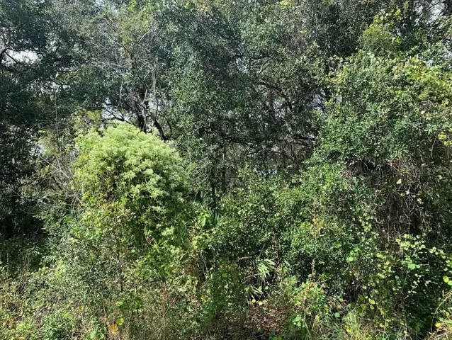 a view of an outdoor space and a yard