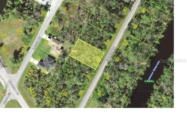 a view of a lush green forest