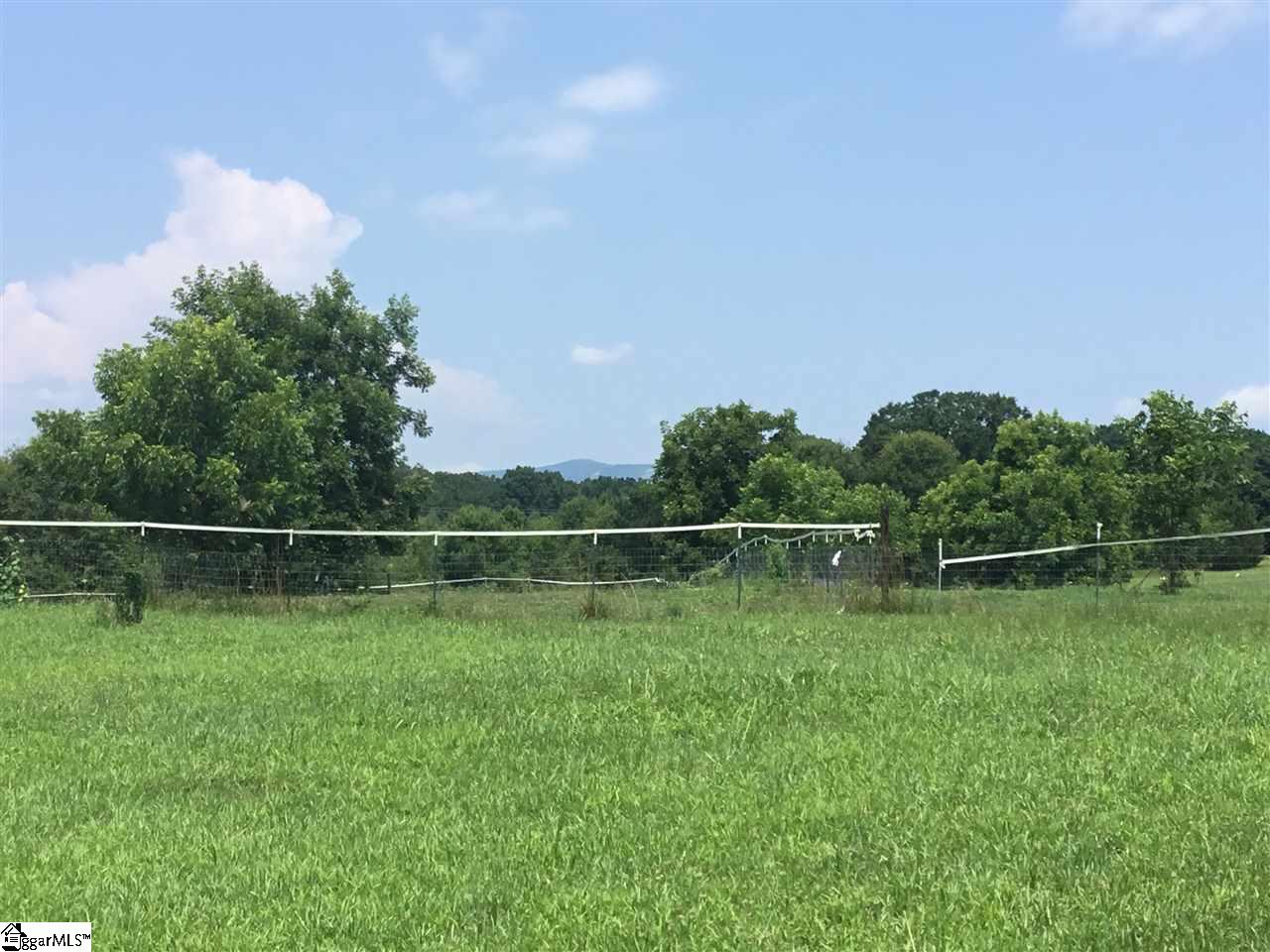 4493 Jordan Road Greer, SC 29651 - Photo 27 of 32