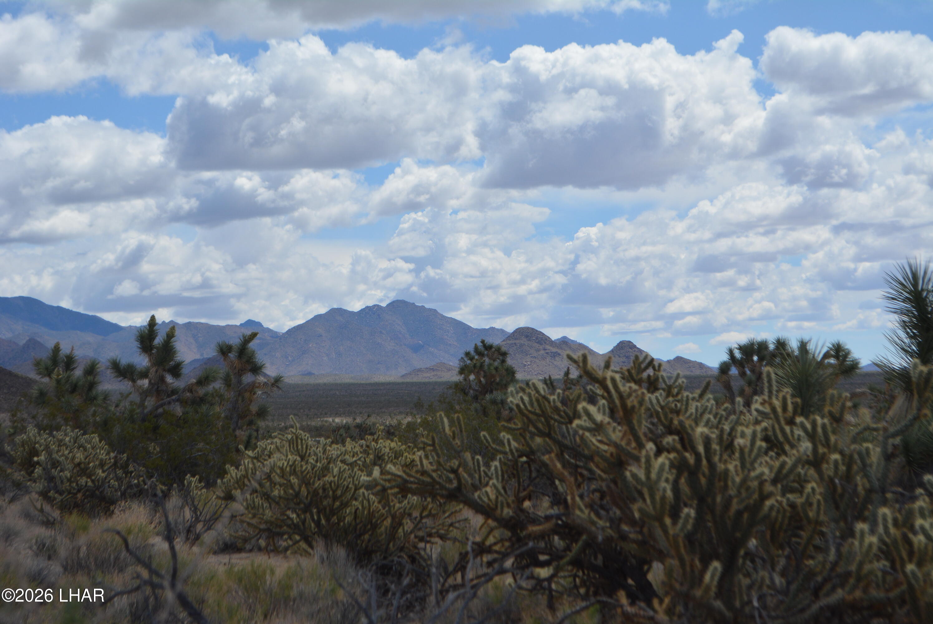 11900 Alan Road Yucca, AZ 86438 - Photo 79 of 93 DSC_1385