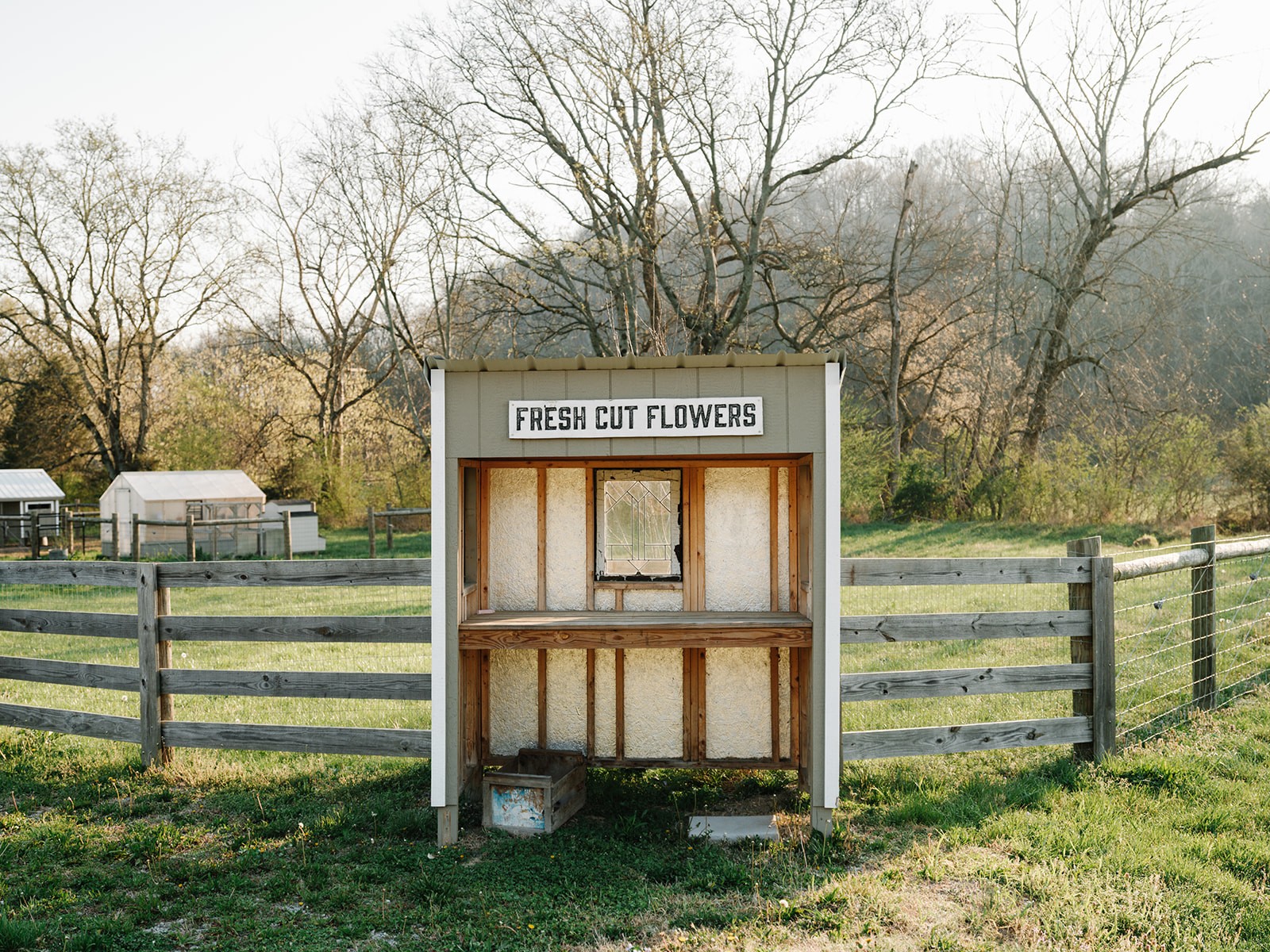 5545 Beech Hill Road Pulaski, TN 38478 - Photo 47 of 49 Gallery Image 47