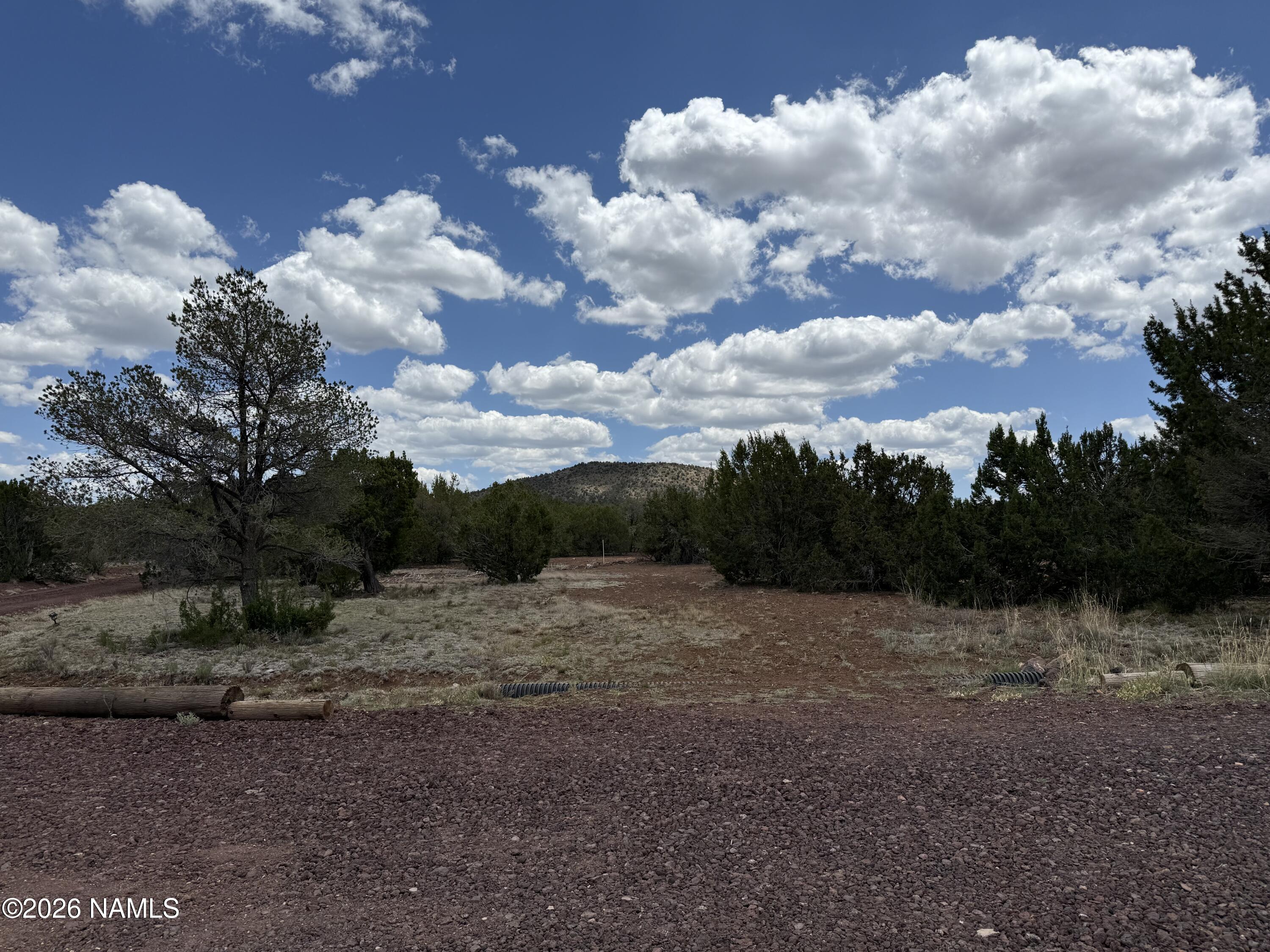 1431 East Cedar Road Williams, AZ 86046 - Photo 39 of 51 a view of a dry yard