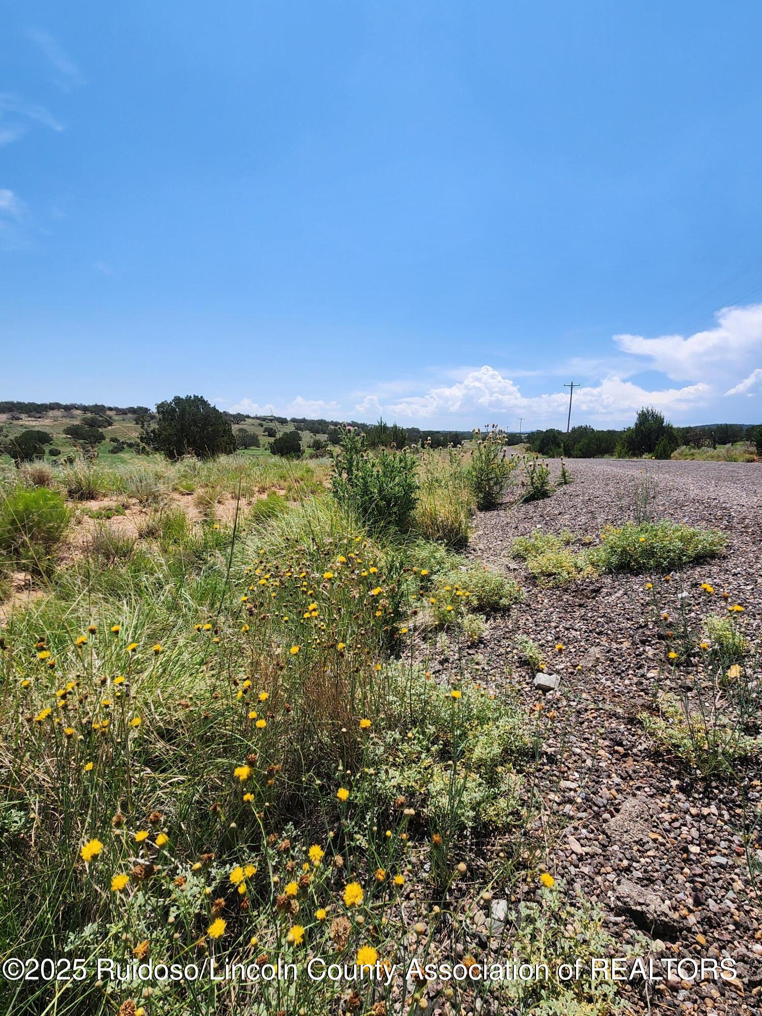 312 Windmill Road Carrizozo, NM 88301 - Photo 25 of 70 Gallery Image 25