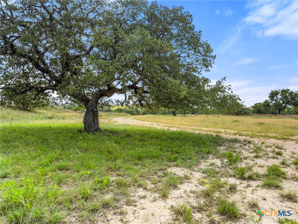 428 Summit Spring Lane Johnson City, TX 78636 - Photo 27 of 33