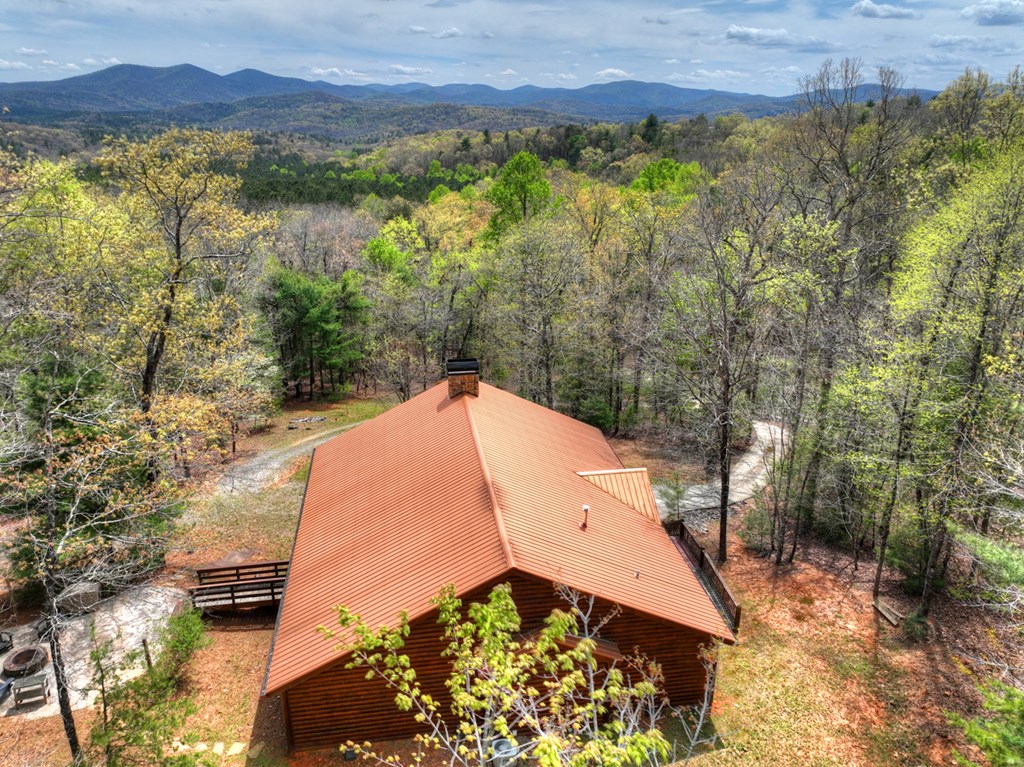 6 Red Holly Road Blue Ridge, GA 30513 - Photo 40 of 42 Gallery Image 40