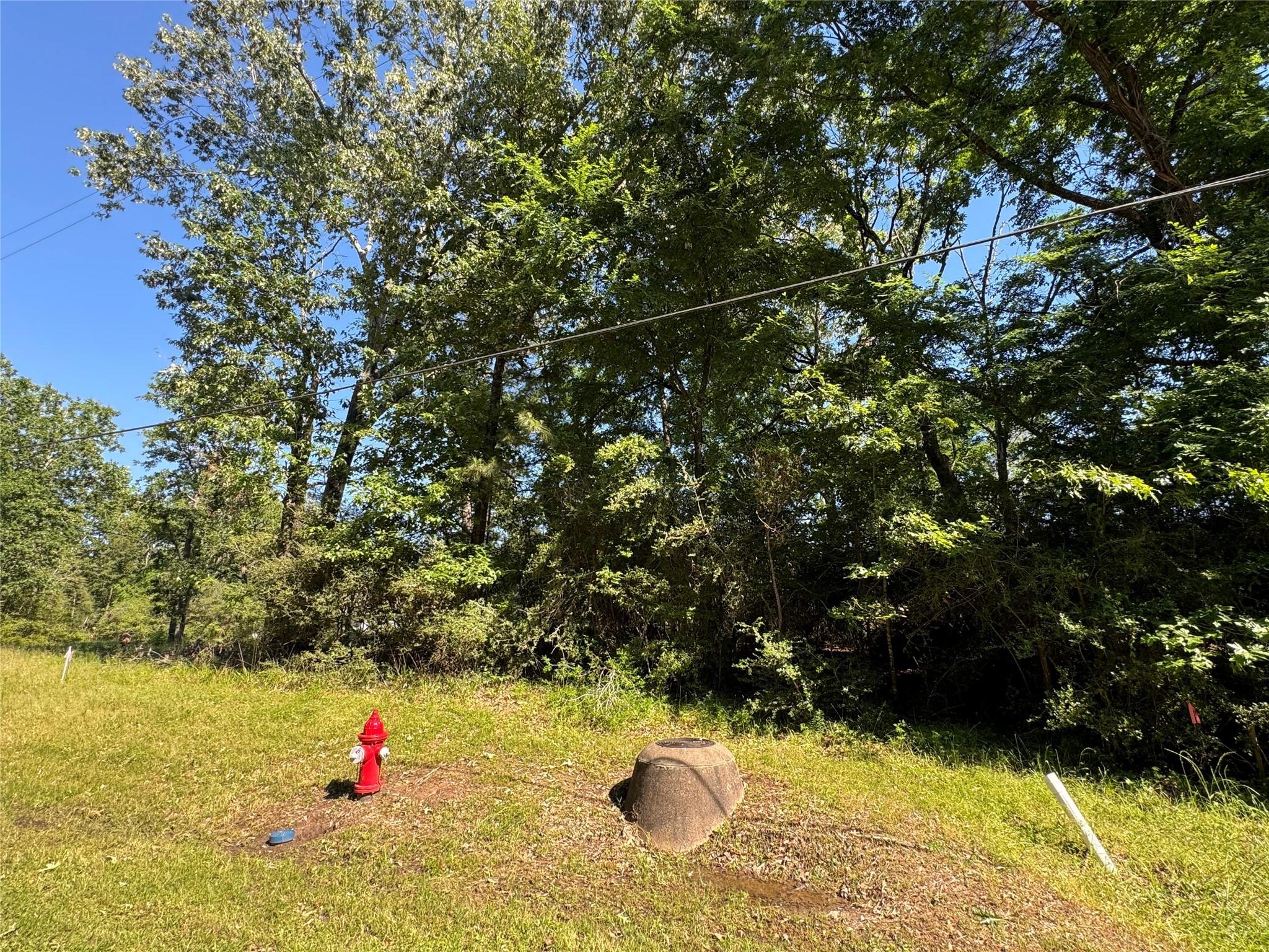 44 Greenway Drive Trinity, TX 75862 - Photo 1 of 7 a view of yard