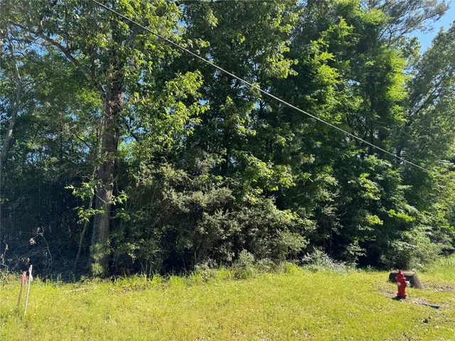 a view of an outdoor space and a yard