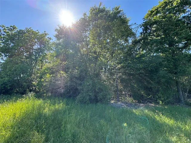 a view of a lush green space