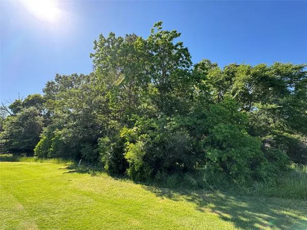 a view of a garden