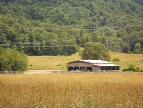 437 Webster Valley Road Rogersville, TN 37857 - Photo 14 of 22 Photo 14