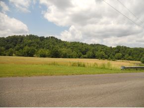 437 Webster Valley Road Rogersville, TN 37857 - Photo 16 of 22 Photo 16