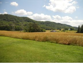 437 Webster Valley Road Rogersville, TN 37857 - Photo 18 of 22 Photo 18