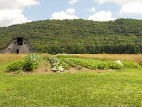 437 Webster Valley Road Rogersville, TN 37857 - Photo 20 of 22 Photo 20
