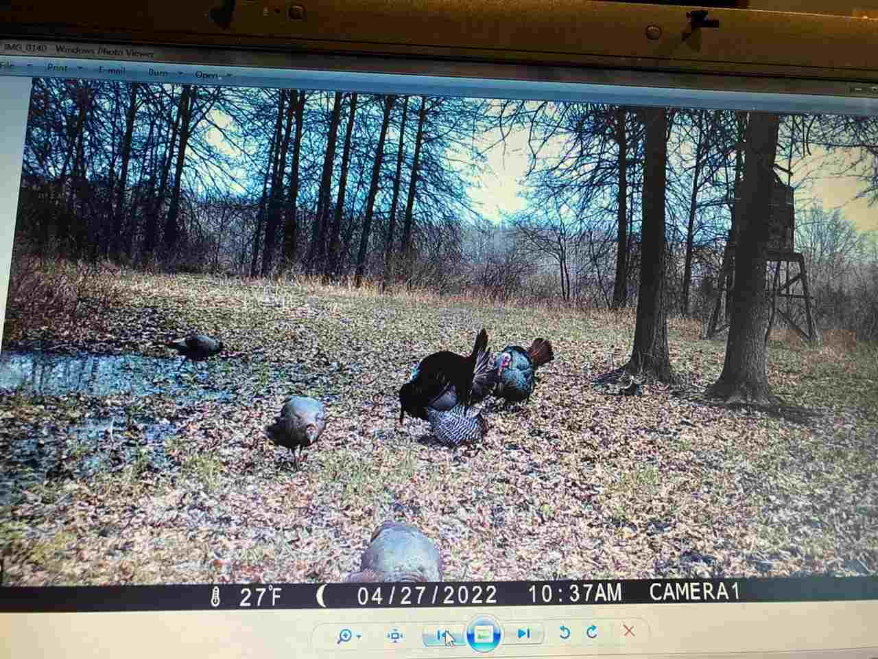 0 Burt Road Brant, MI 48614 - Photo 9 of 13