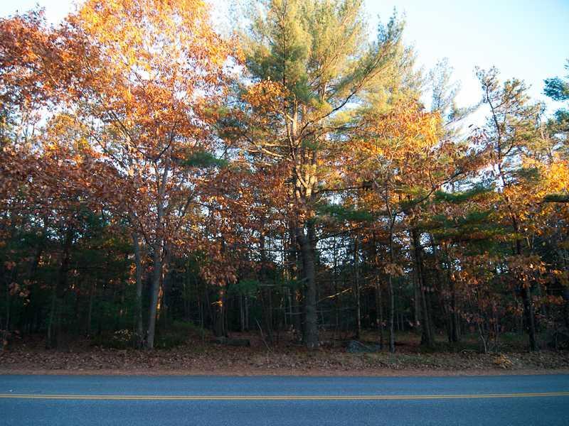 158 Maquoit Road Brunswick, ME 04011 - Photo 33 of 33 Other. Walking trails across the street
