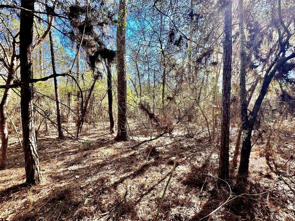 4280 Cr Hillister Tx 77624