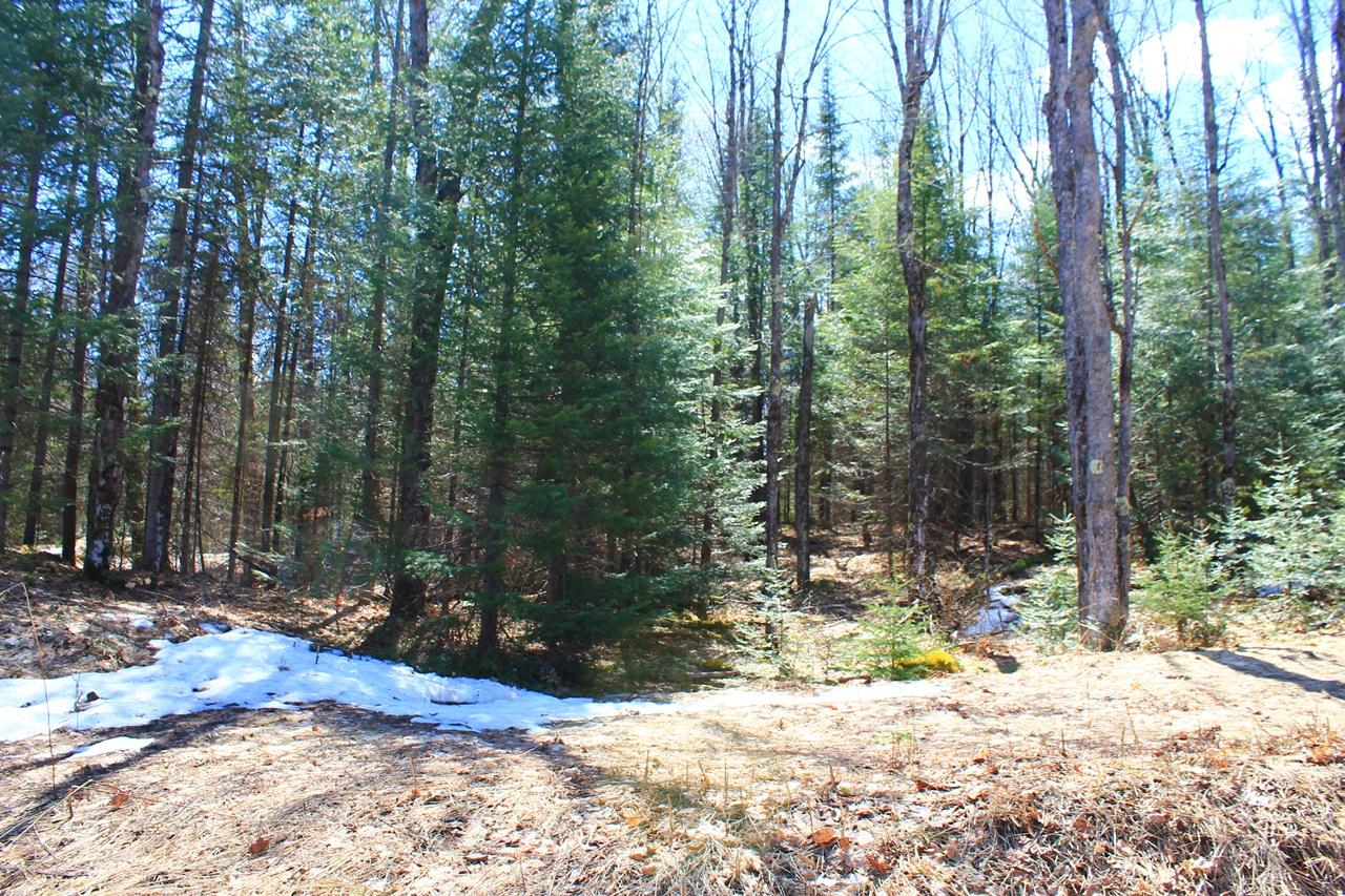 7580 Little Pine Road Hurley, WI 54534 - Photo 34 of 38 Gallery Image 34