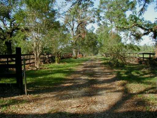 19189 Township Road Covington, LA 70435 - Photo 6 of 8 Gallery Image 6