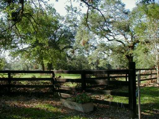 19189 Township Road Covington, LA 70435 - Photo 7 of 8 Gallery Image 7