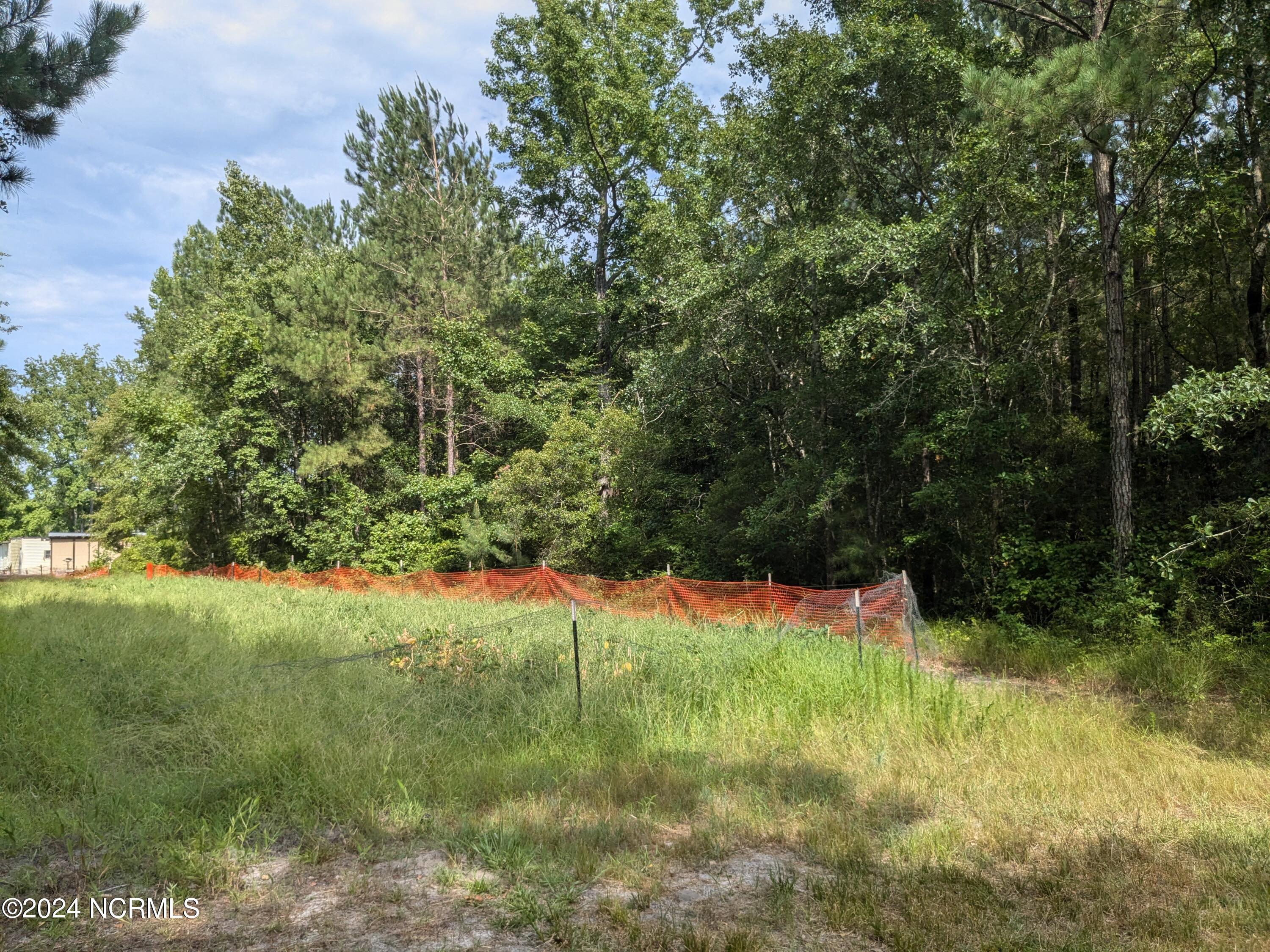 0 Montague Road Currie, NC 28435 - Photo 21 of 28 PXL_20240706_201835674