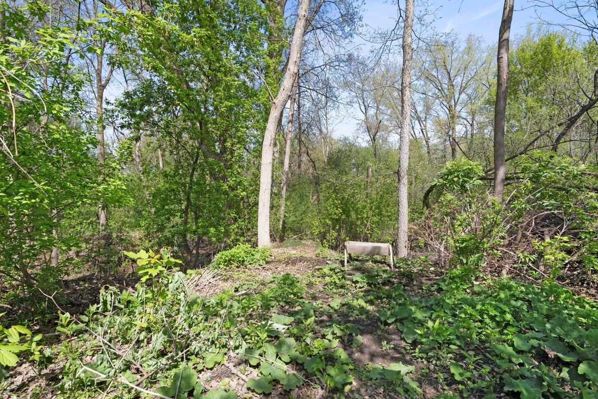 1559 McCarthy Road Eagan, MN 55121 - Photo 27 of 28