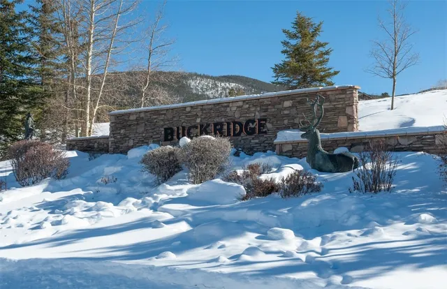 $749,000 | 164 Buck Ridge Road, Unit 164, Summit Cove, CO 80435