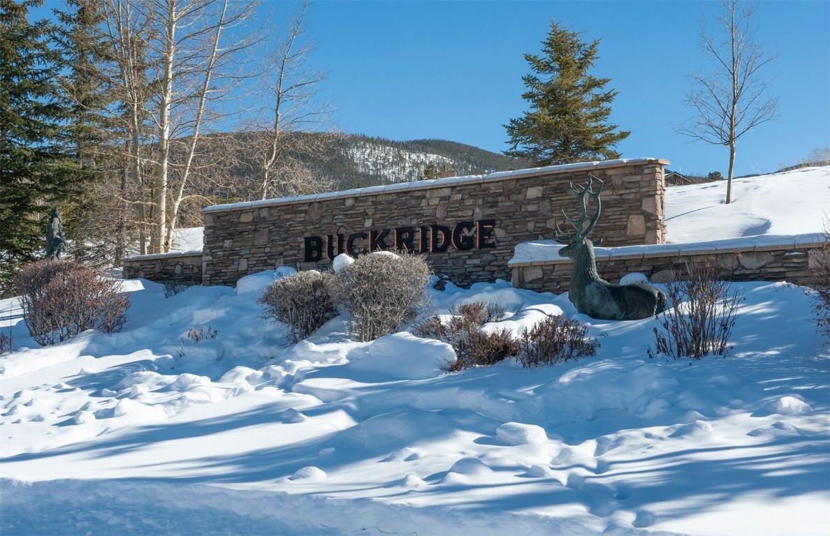 164 Buck Ridge Road, Unit 164 Summit Cove, CO 80435 - Photo 28 of 28 a front view of a house with a yard