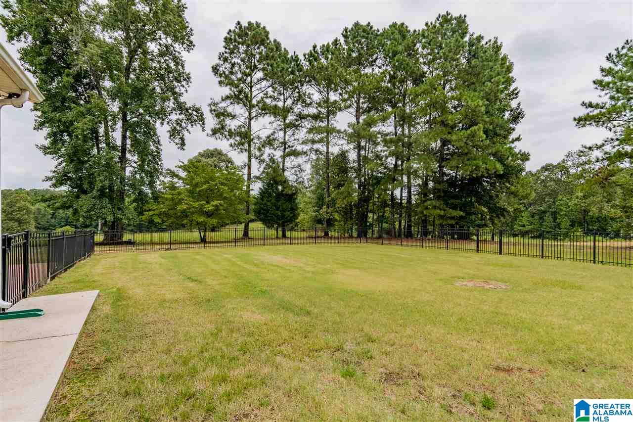 555 Sunset Road Pell City, AL 35128 - Photo 33 of 42 Gallery Image 33